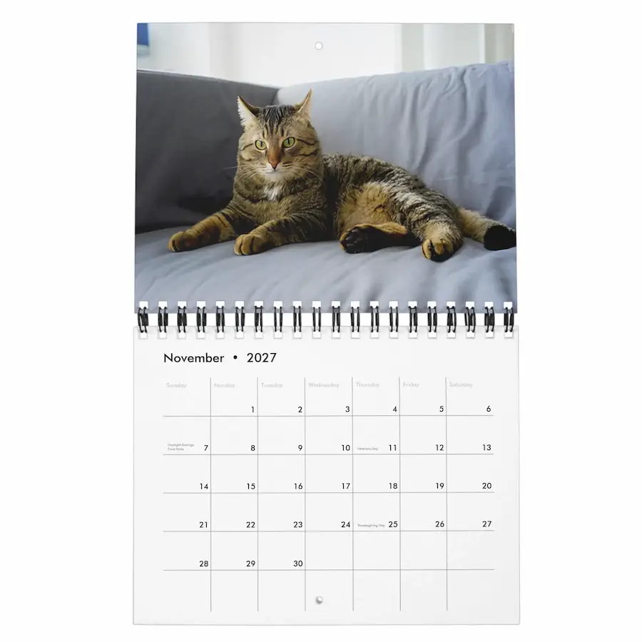 2027 Pets Custom Photo Create Your Own Calendar thumbnail 11