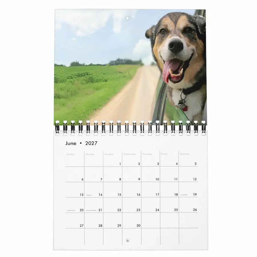2027 Pets Custom Photo Create Your Own Calendar thumbnail 6