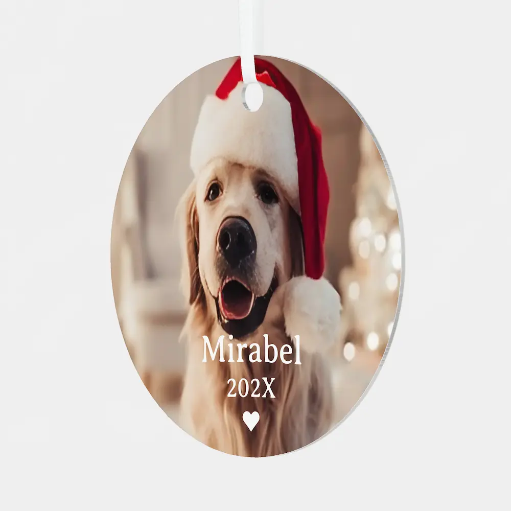 Custom 2 Pet Photo & Monogram Name Metal Ornament thumbnail 2